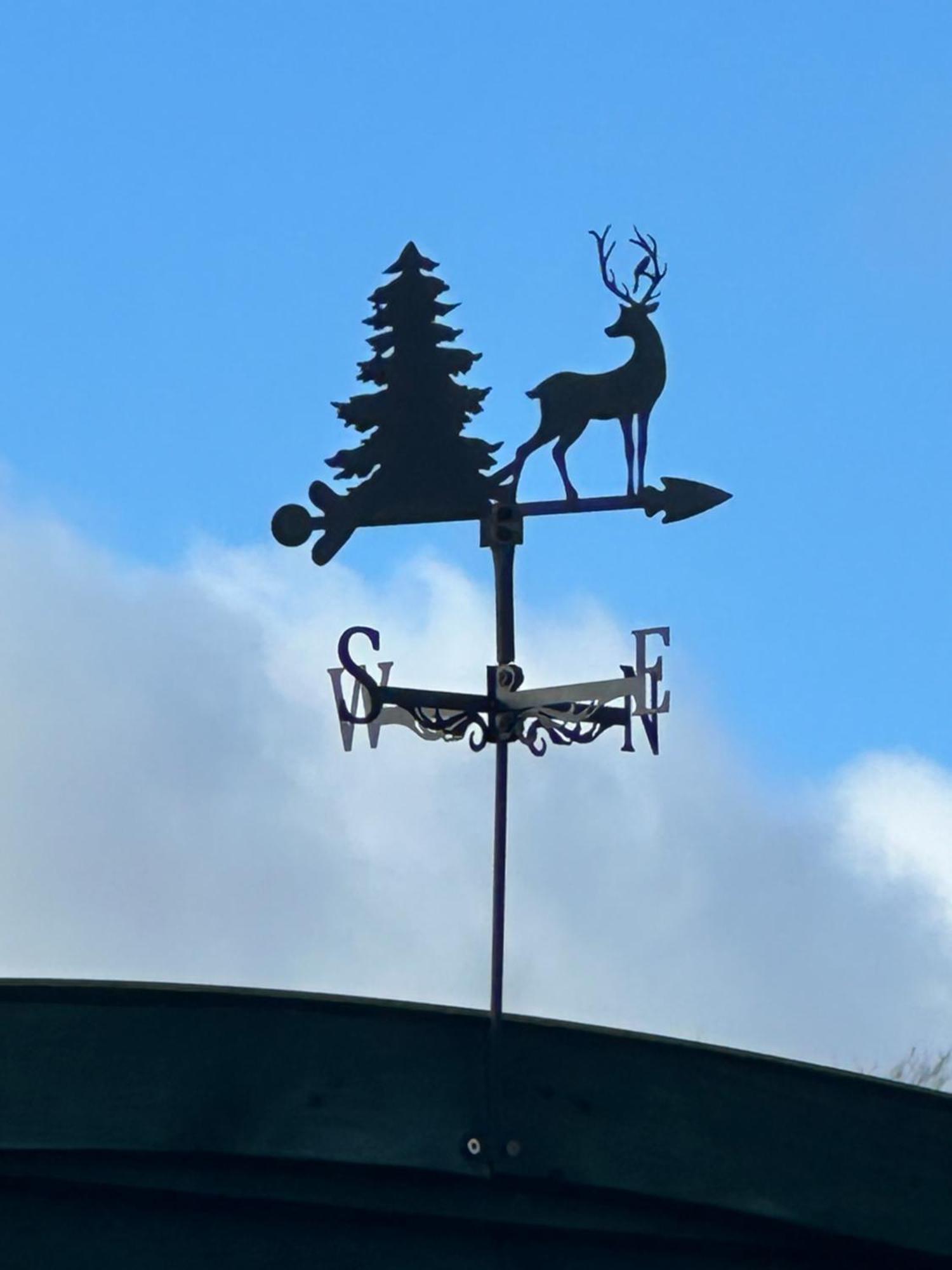 Stags Hide Hotel Minwear Екстериор снимка